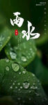 雨水24节气