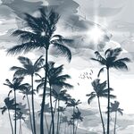 椰树