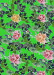 手绘花