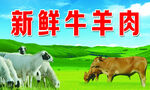 牛羊肉背景