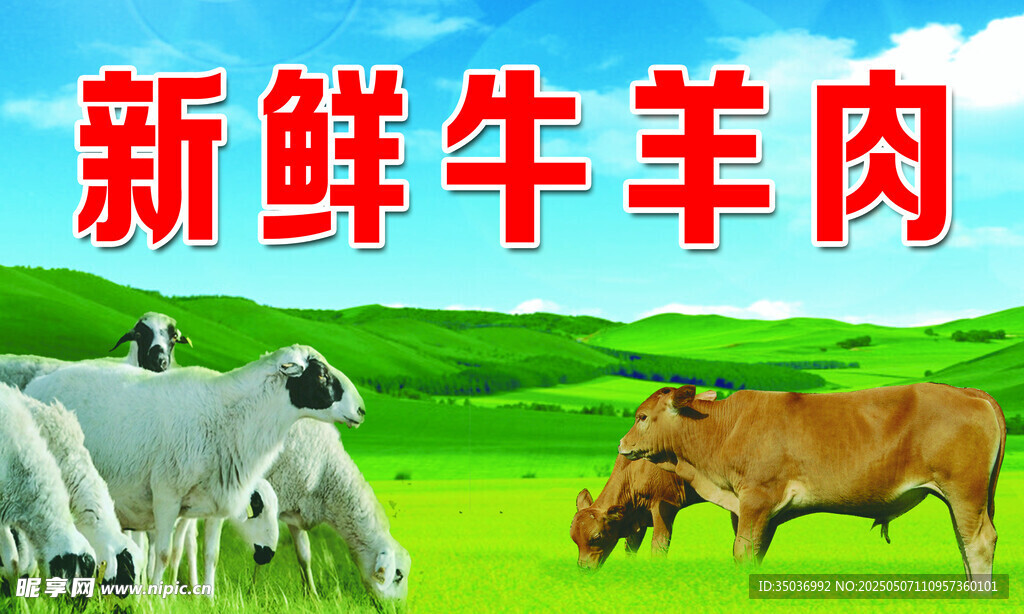 牛羊肉背景