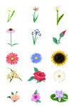 花卉花朵矢量图