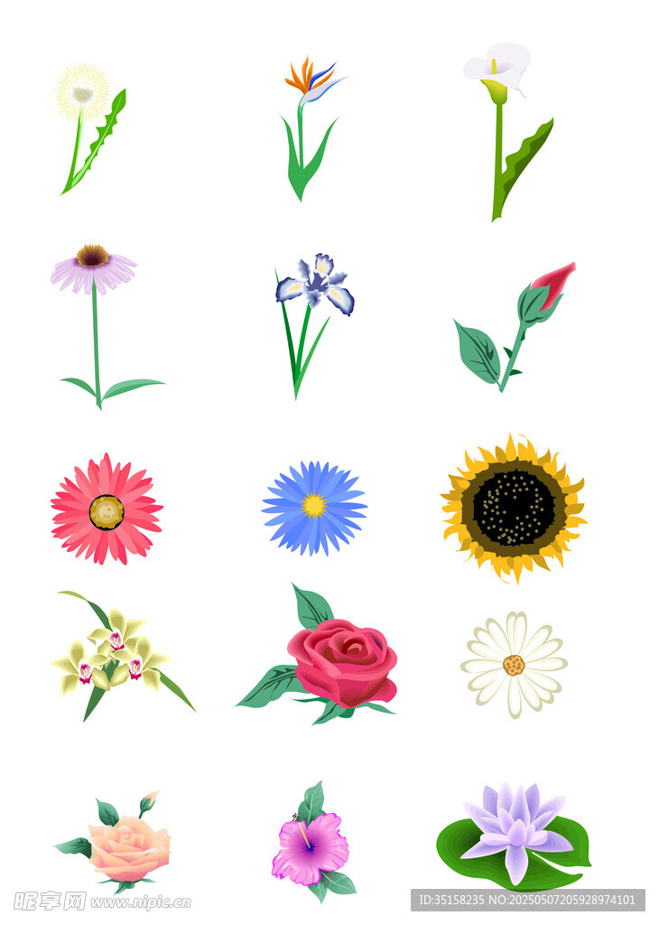 花卉花朵矢量图