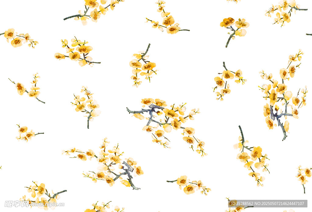 数码手绘花