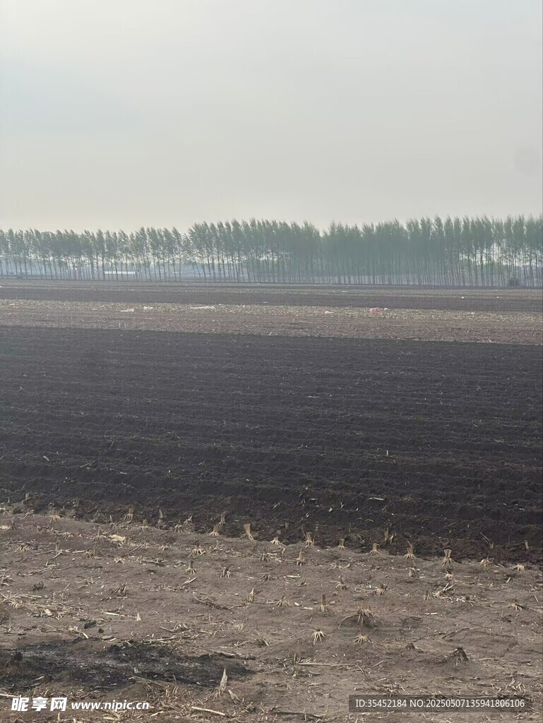 黑土地