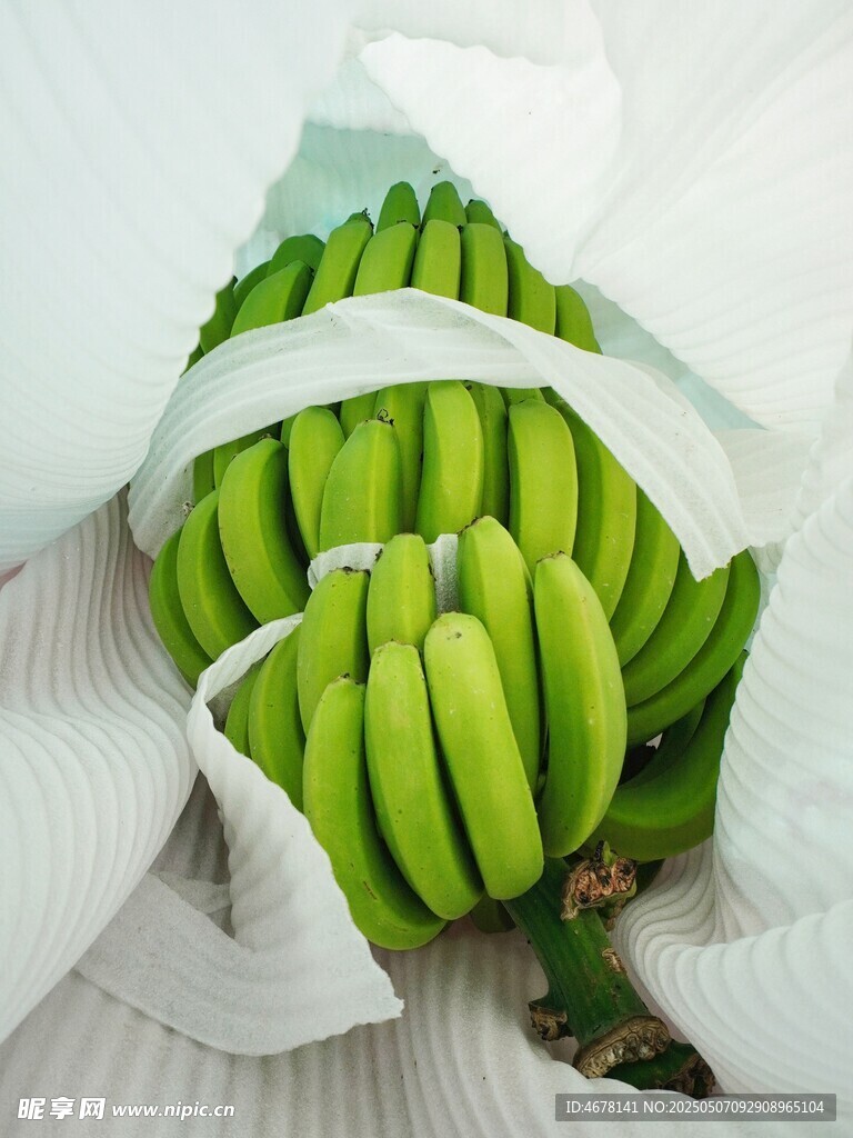 青香蕉被白色包装纸包裹