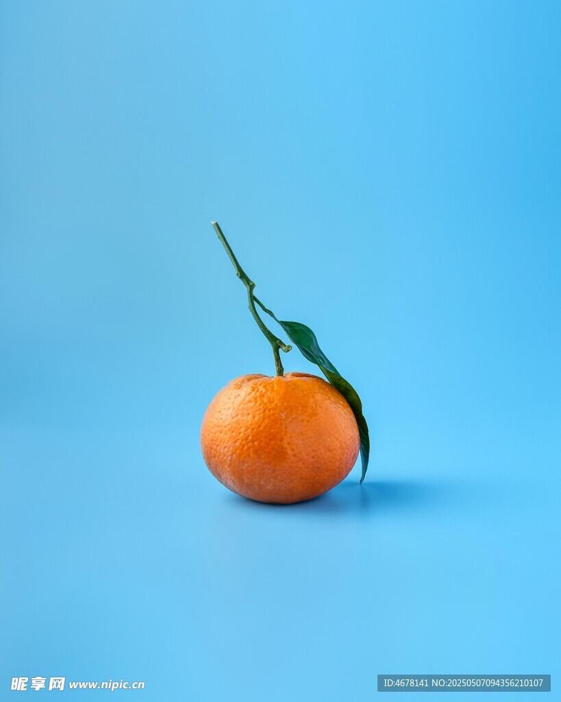 蓝底上的鲜橙带绿叶