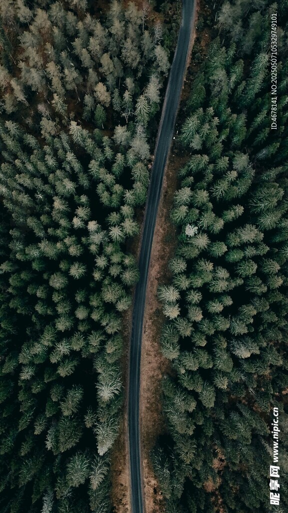 空中俯瞰林间铁路