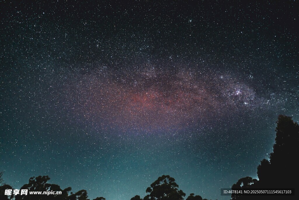夜空下的璀璨星河与树影
