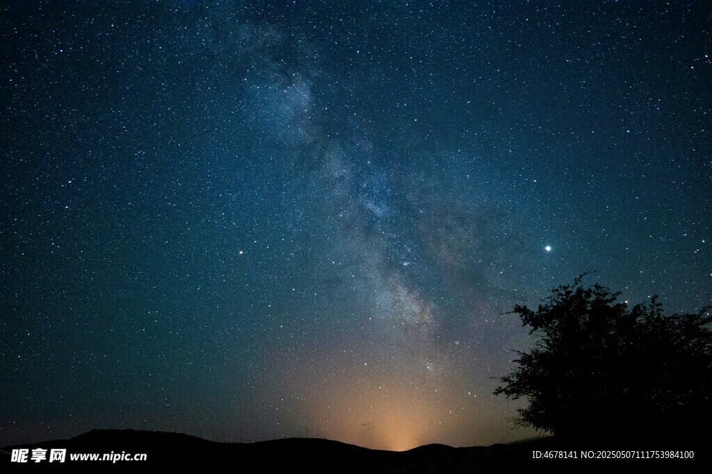 夜空下的璀璨星河与树影