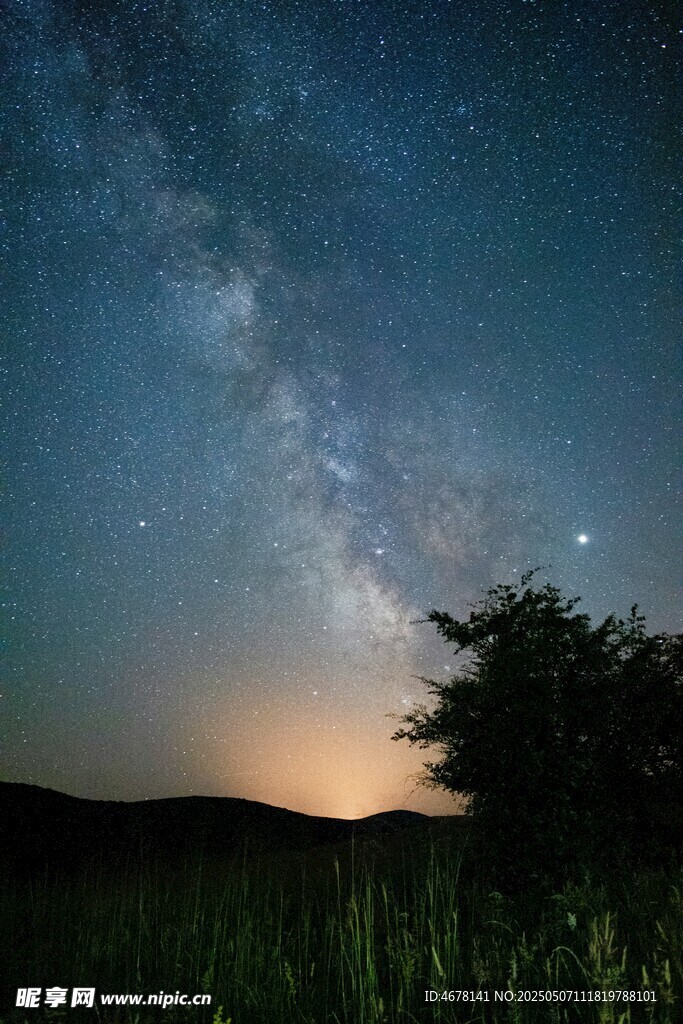 夜幕下的璀璨星河与孤树