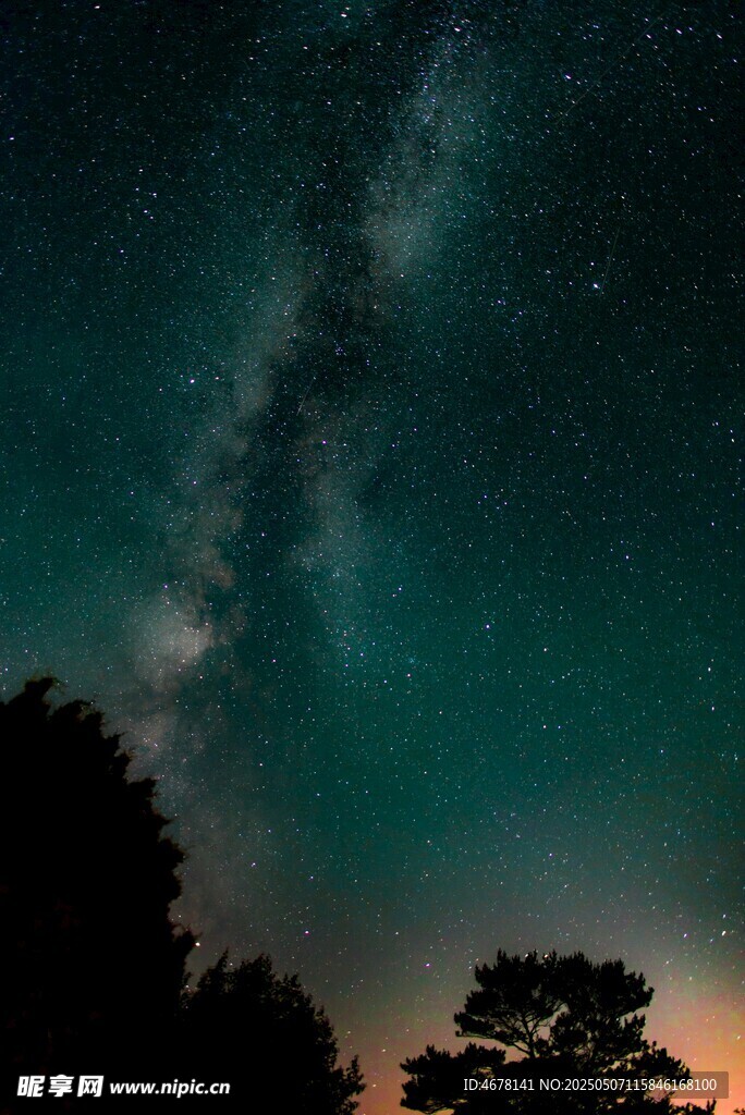 夜幕下的璀璨星河与树影