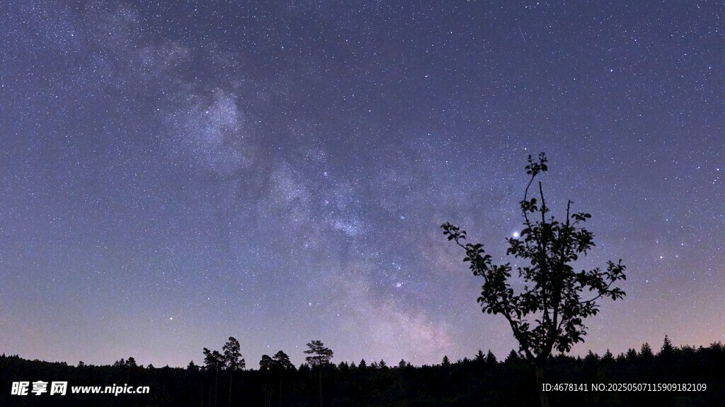 夜空下的树木与璀璨星河