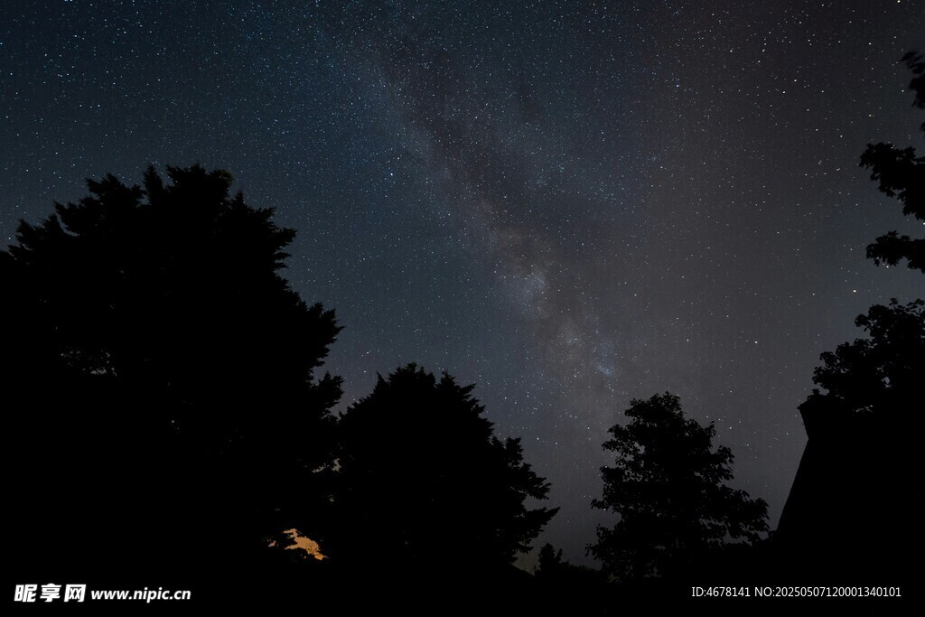 夜空下的树木与璀璨星河