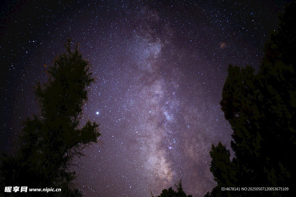夜空下的璀璨星河与树木