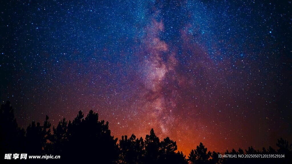 夜幕下的璀璨星空与森林