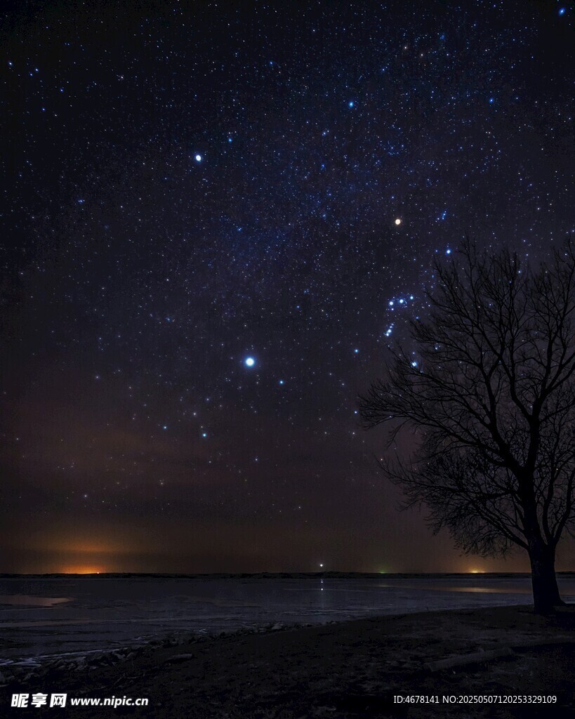 湖畔夜空下的孤树与繁星