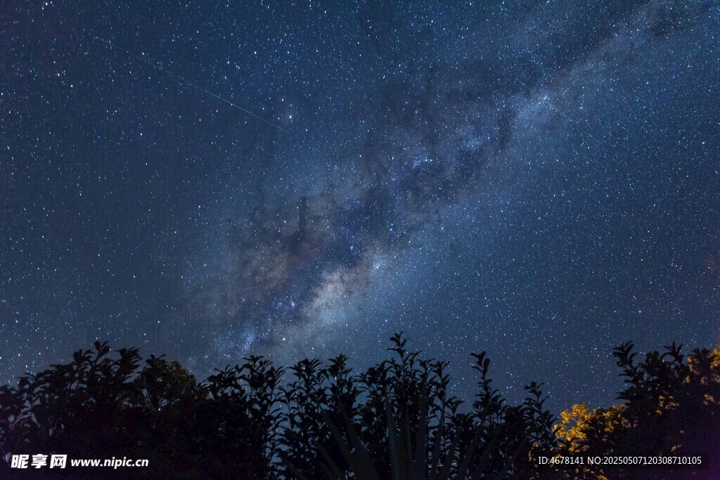 夜空下的璀璨星河与树林