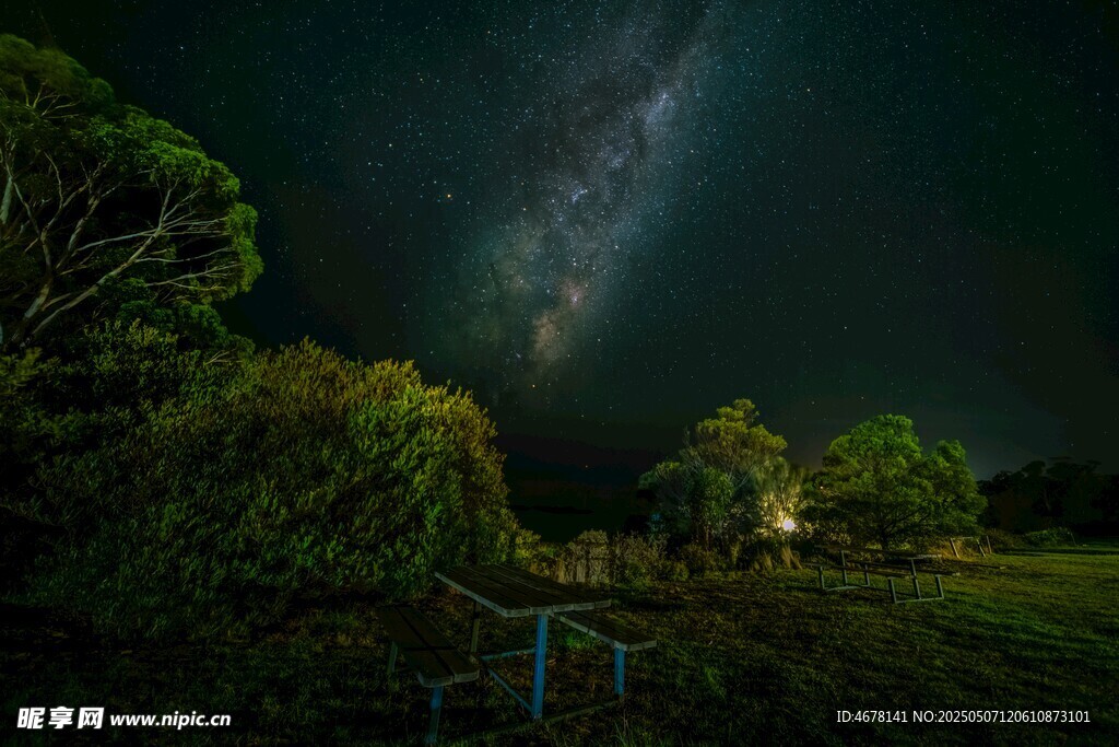 夜空下的森林与璀璨星河