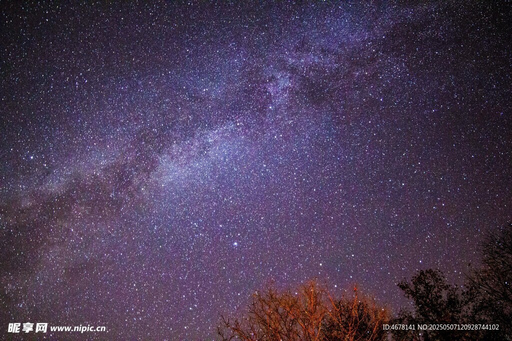 夜空下的璀璨星河与树木