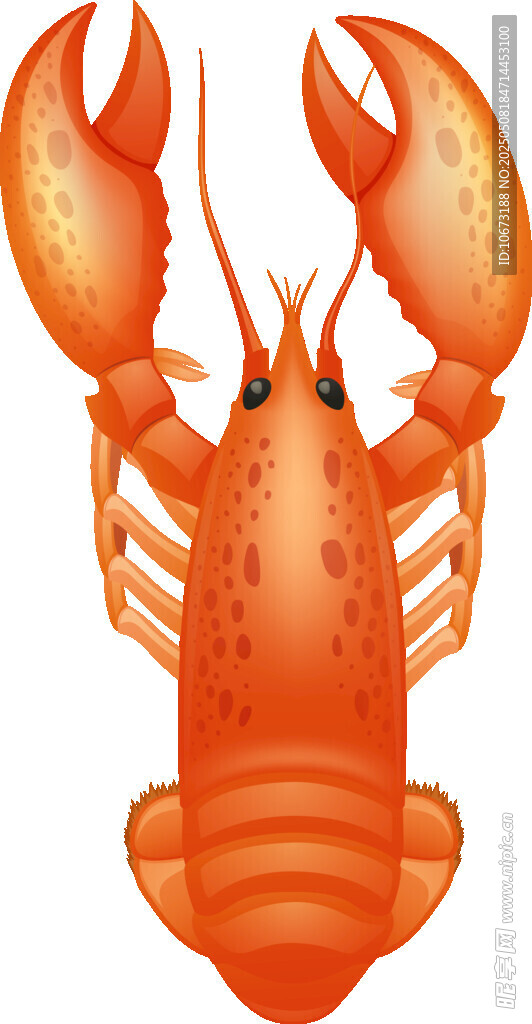 橙色大龙虾插画