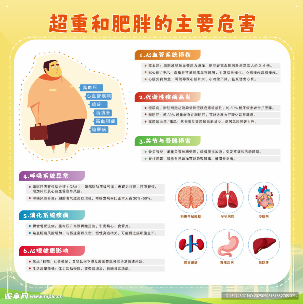 2025年体重管理  超重肥胖