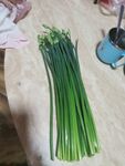 韭菜花