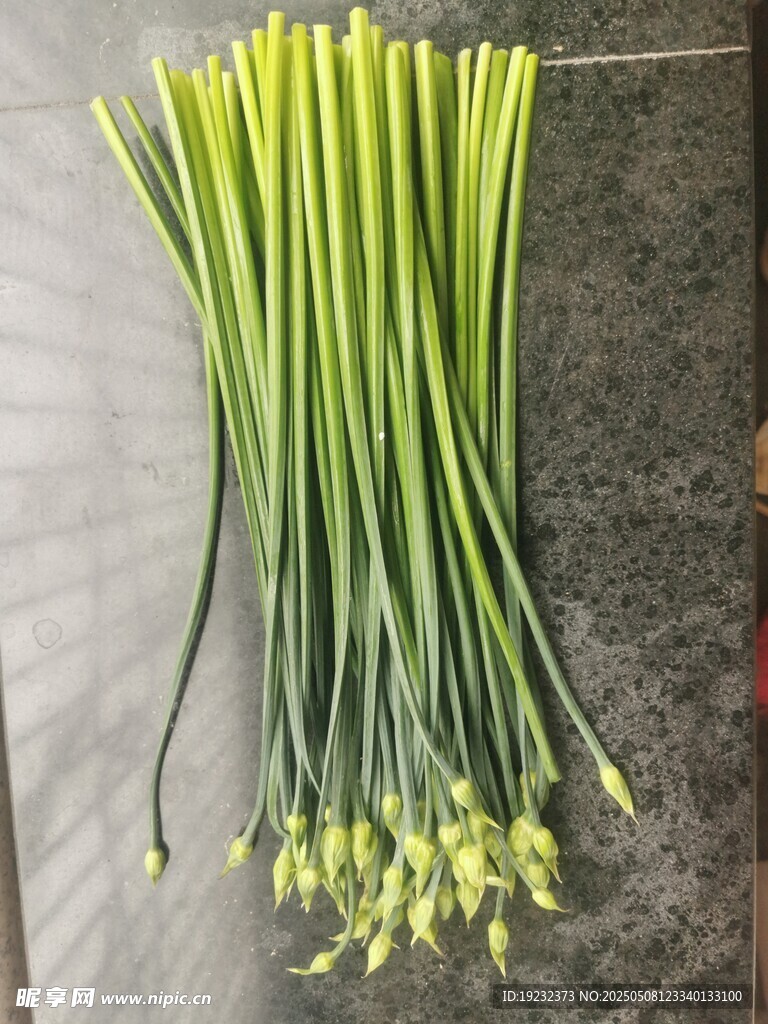 韭菜花