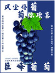巨峰葡萄水果海报