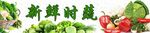 新鲜多样蔬菜大集合