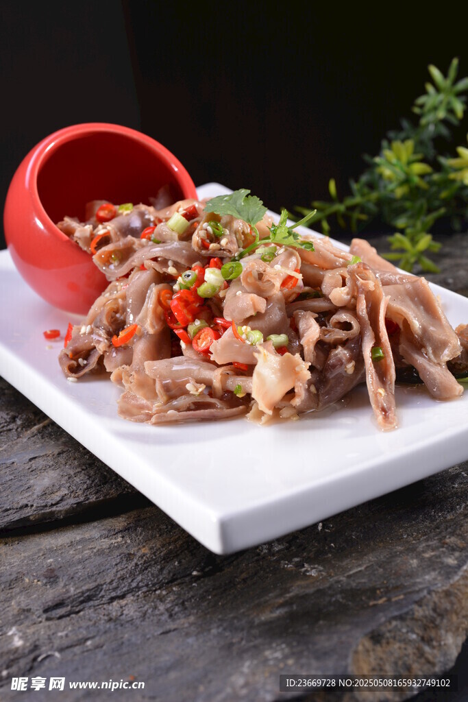 香辣鸭食管