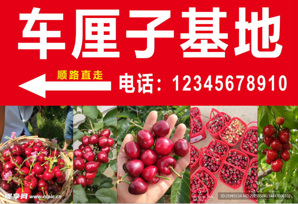 车厘子  樱桃