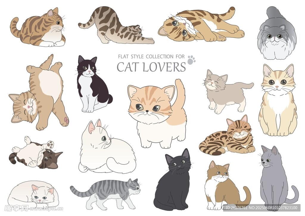 卡通猫表情包 图片