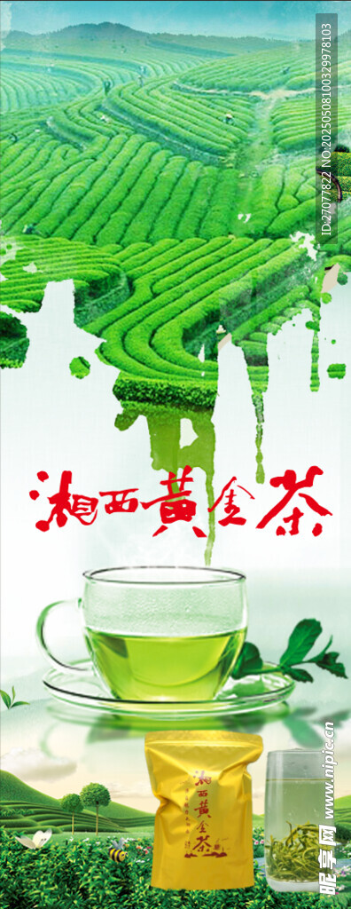 湘西黄金茶  