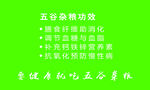 五谷杂粮