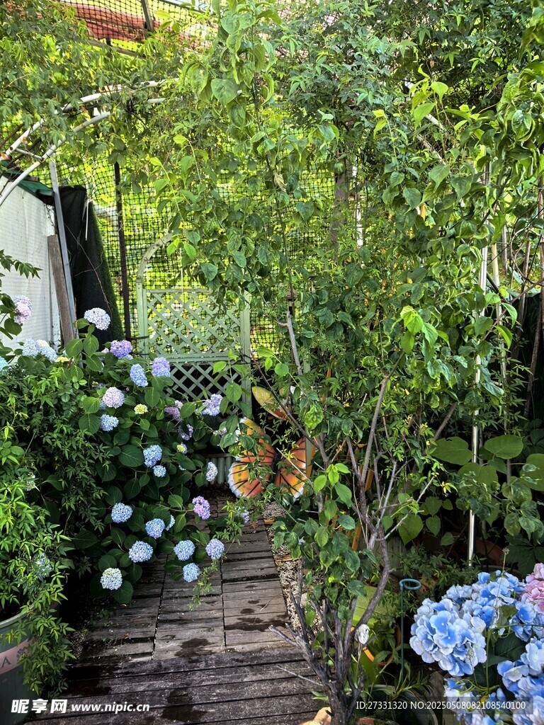 幽静花园中的花卉与小径