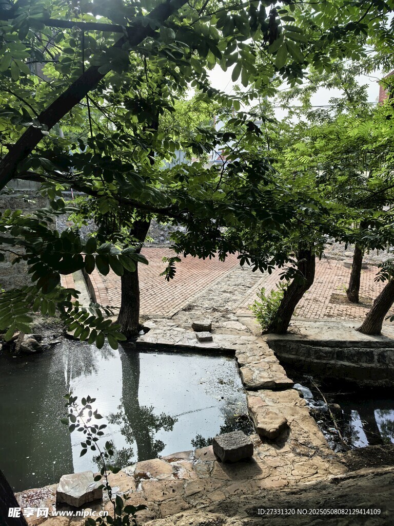 溪边绿荫下的静谧小景