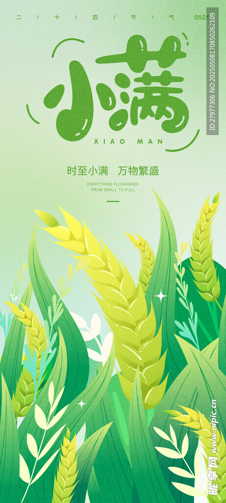 小满节气海报