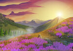 山间花海迎日出美景