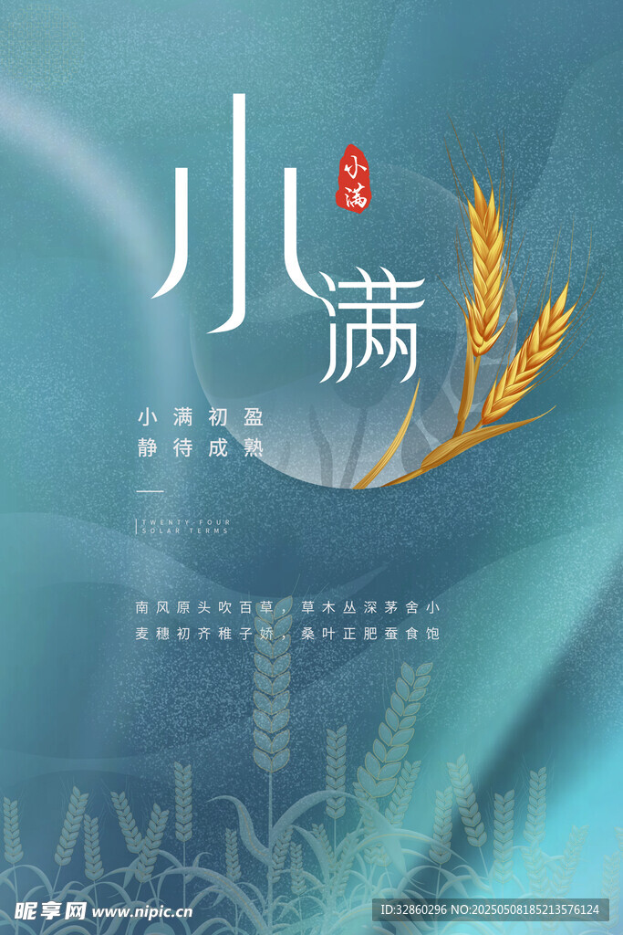 小满时节麦穗插画