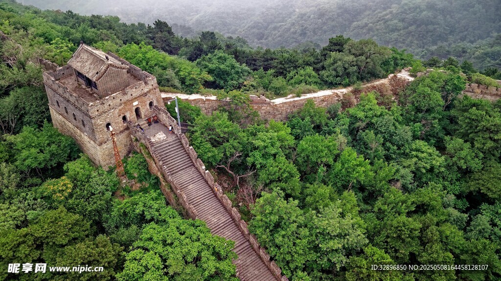俯瞰长城穿林景