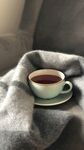毛毯中的温暖茶杯