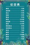 美容项目价目表清新风格