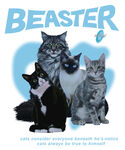 可爱猫咪与BEASTER标志