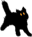 黑猫剪影神秘灵动瞬间
