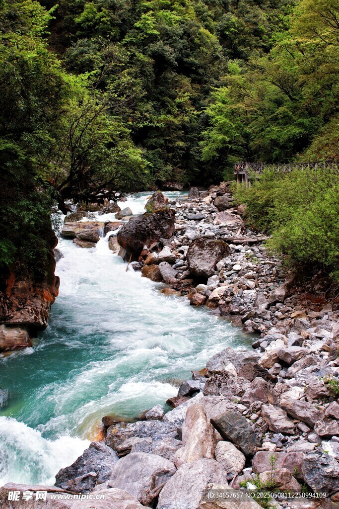 山间溪流潺潺穿林而过