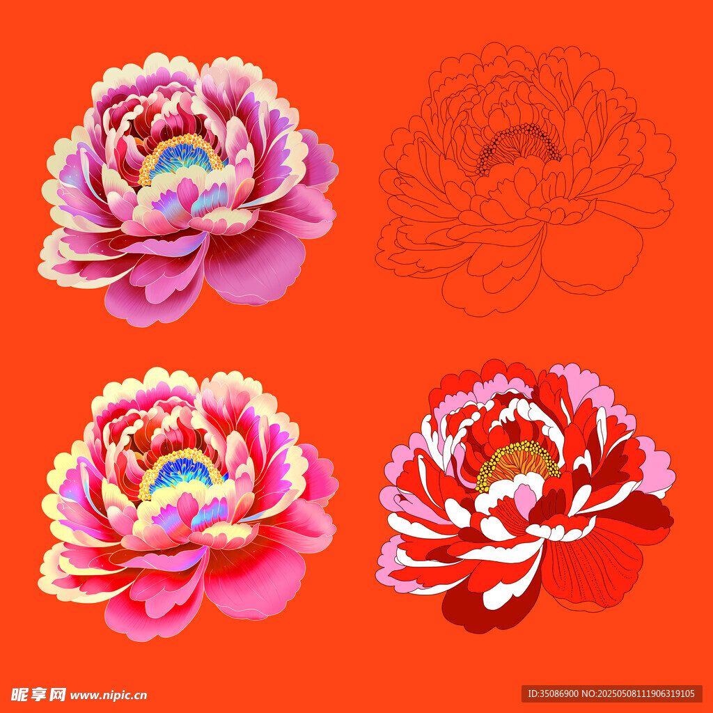 三朵绚丽牡丹花图案