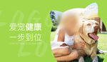 宠物狗类电商banner