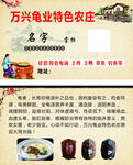 乌龟名片