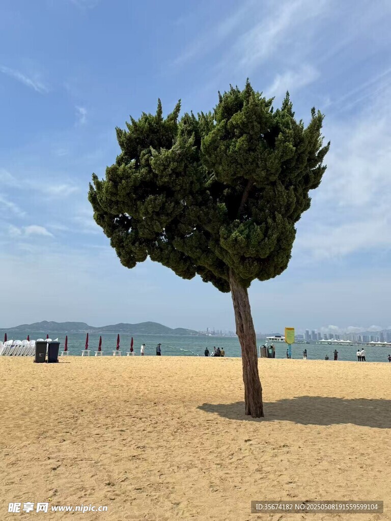 爱心树